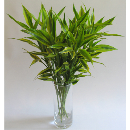 选配八字，易学博大精深显光芒