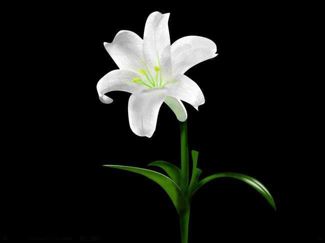 五行中属火的字